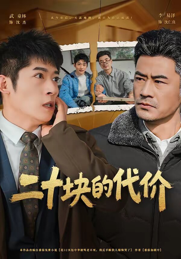 二十块的代价