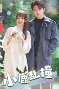 小鹿乱撞