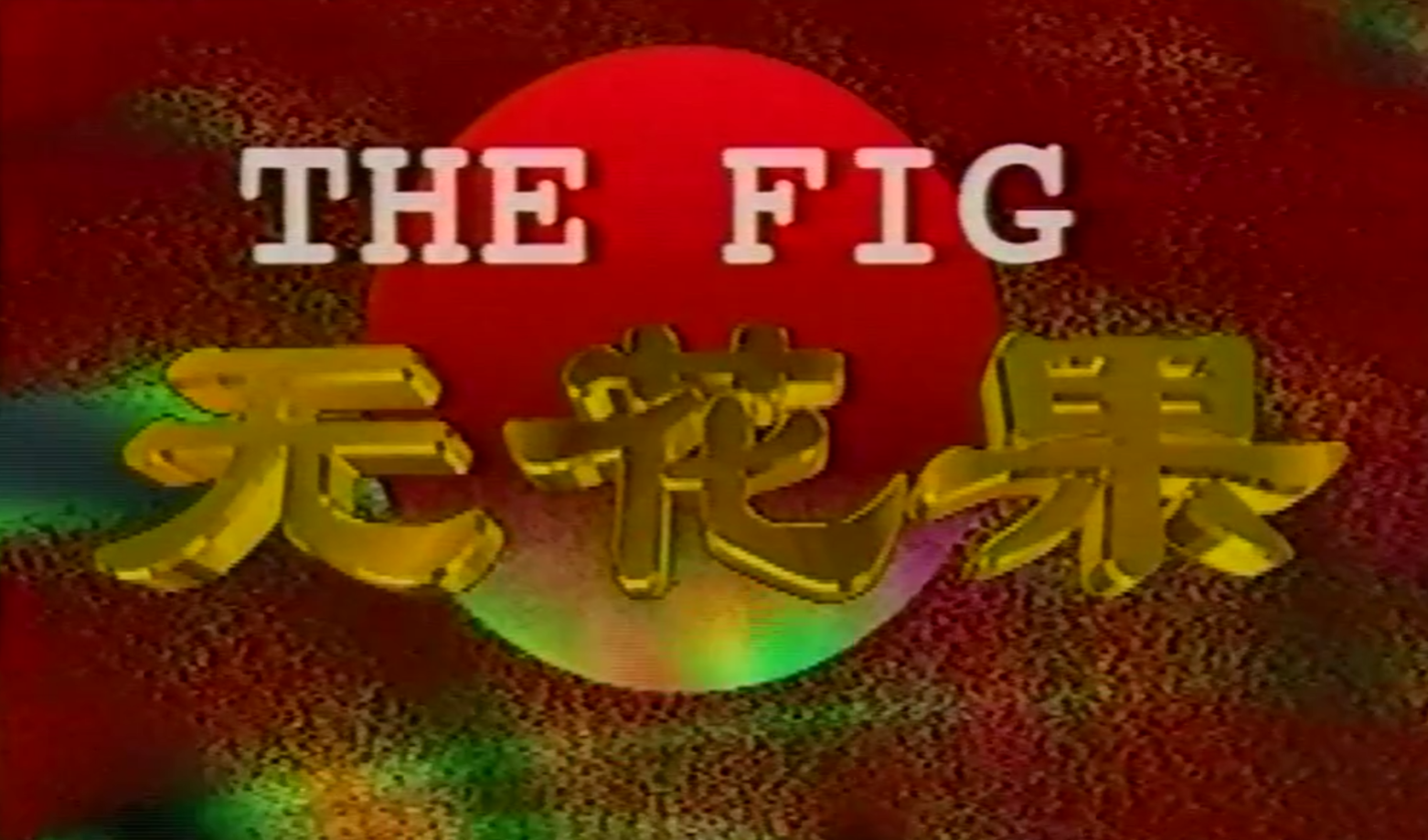 无花果1996