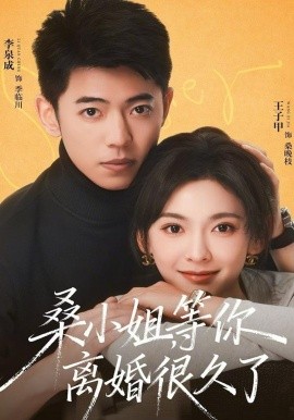 桑小姐，等你离婚很久了
