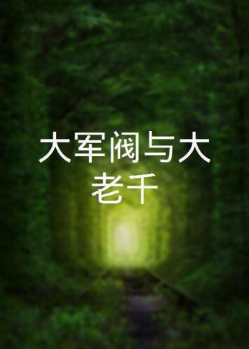 大军阀粤语版