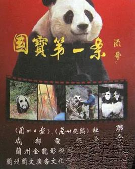 亲爱的白种人第三季